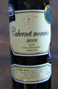 Cabernet Moravia